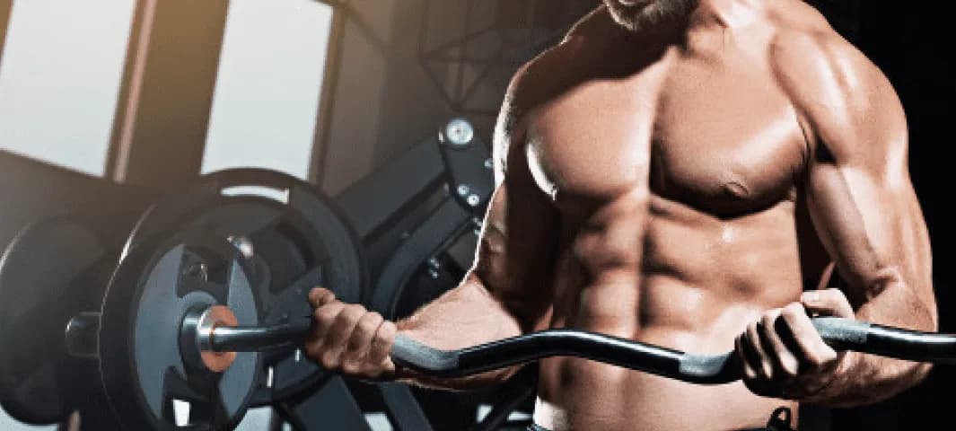 Elite - Spark Your Testosterone banner
