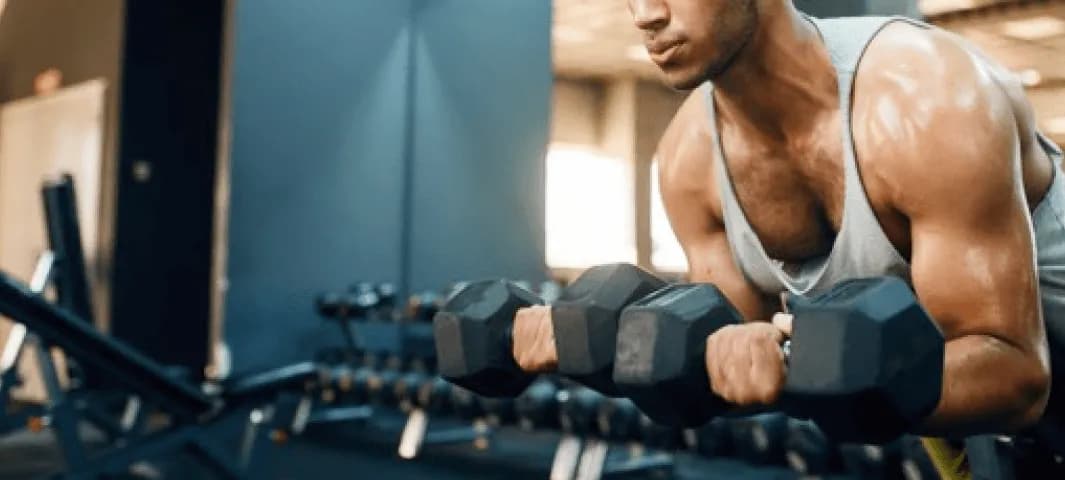 Dumbbell Pull/Push/Press Plan 2 banner