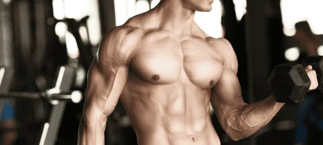 Copy of Shed Body Fat in 3 Months banner