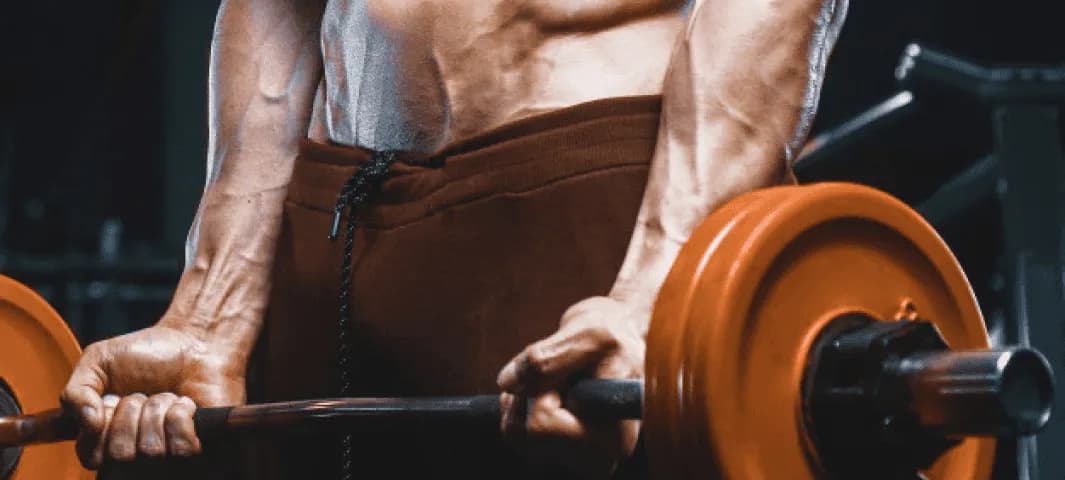 One Muscle Group/Day Workout banner