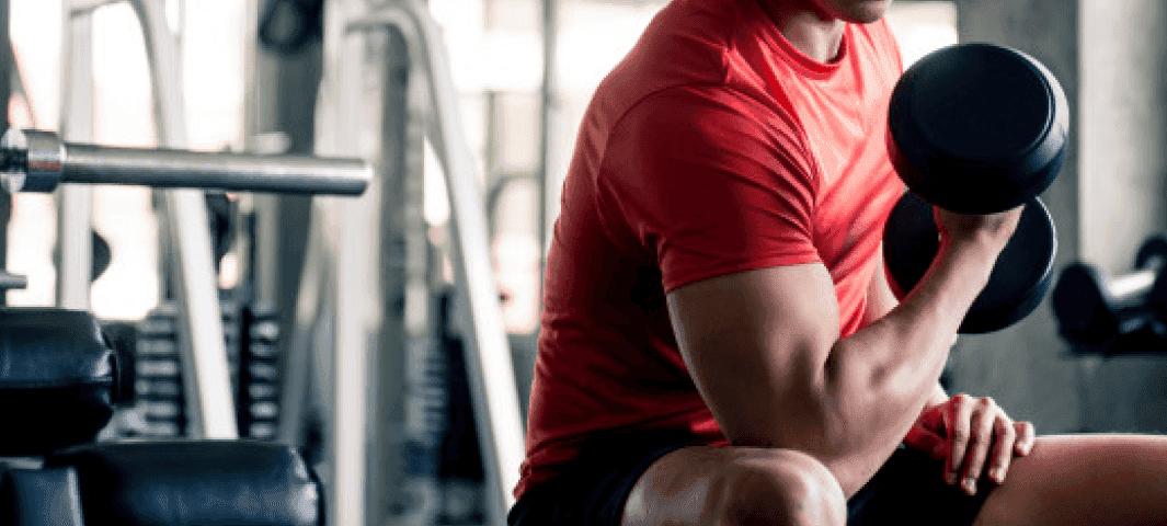 Building Dense Muscle banner