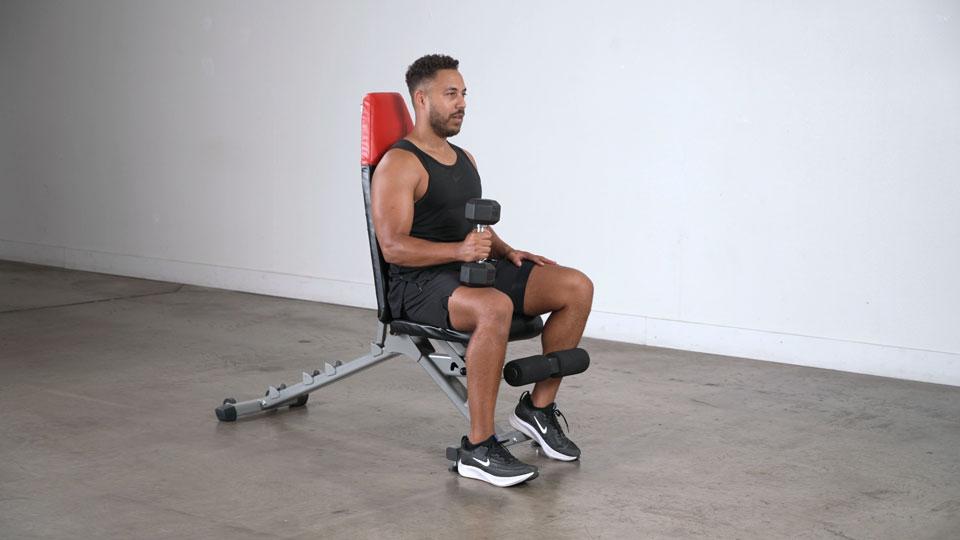 Dumbbell Seated Single-Leg Calf Raise Demonstration