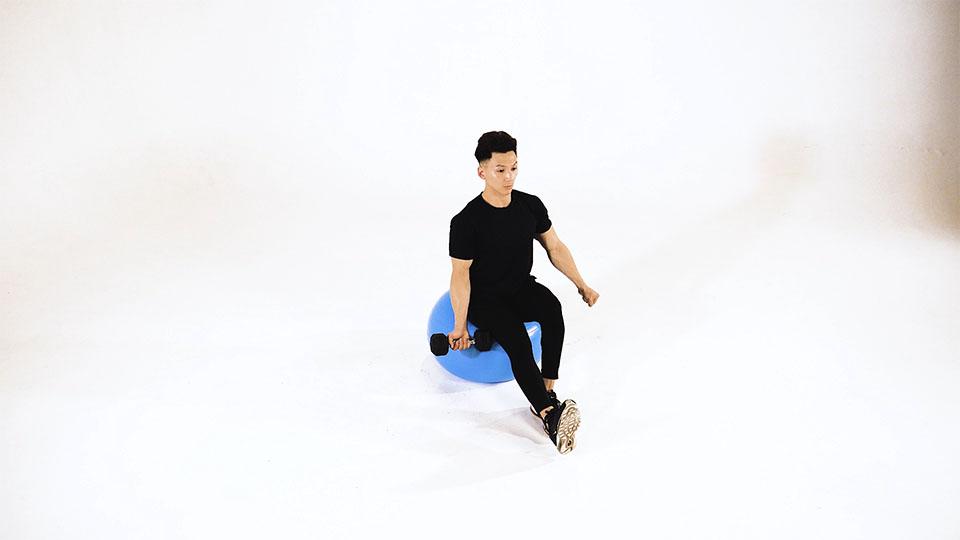 Dumbbell One-Arm Single-Leg Bicep Curl on Stability Ballbanner