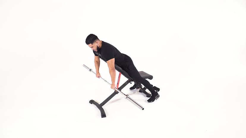 Standing Trunk Rotation - JEFIT