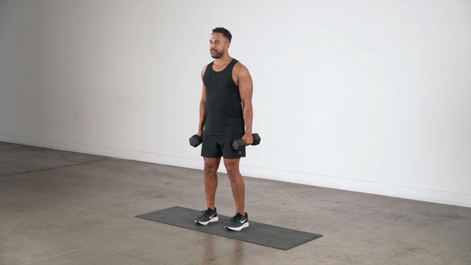 Dumbbell Hammer Curl  Demonstration