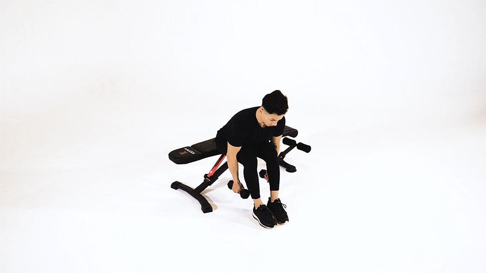 Dumbbell Seated Alternating Reverse Flybanner