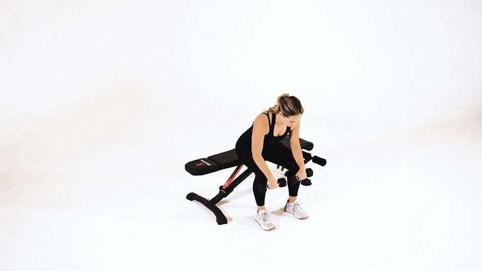 Dumbbell Seated Wrist Curl (Palms Down) Demonstration