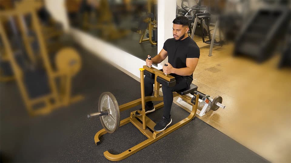 Machine Seated Calf Raise view 3