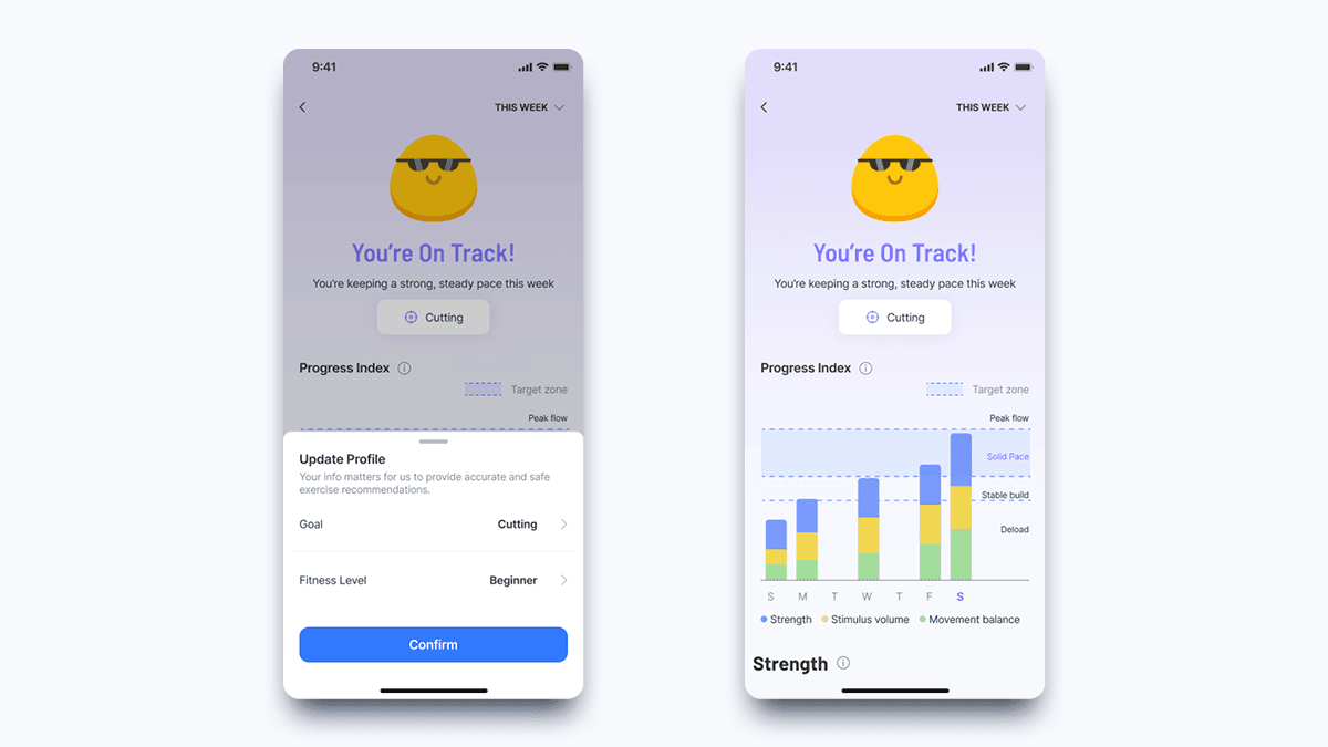 The North Star Progress Index (NSPI)