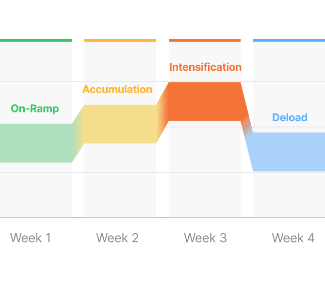 Mesocycle phases