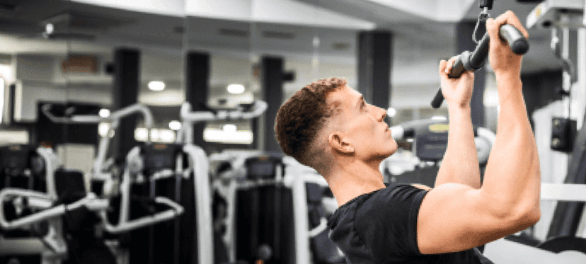 Anatoly 3 Day Plan - JEFIT