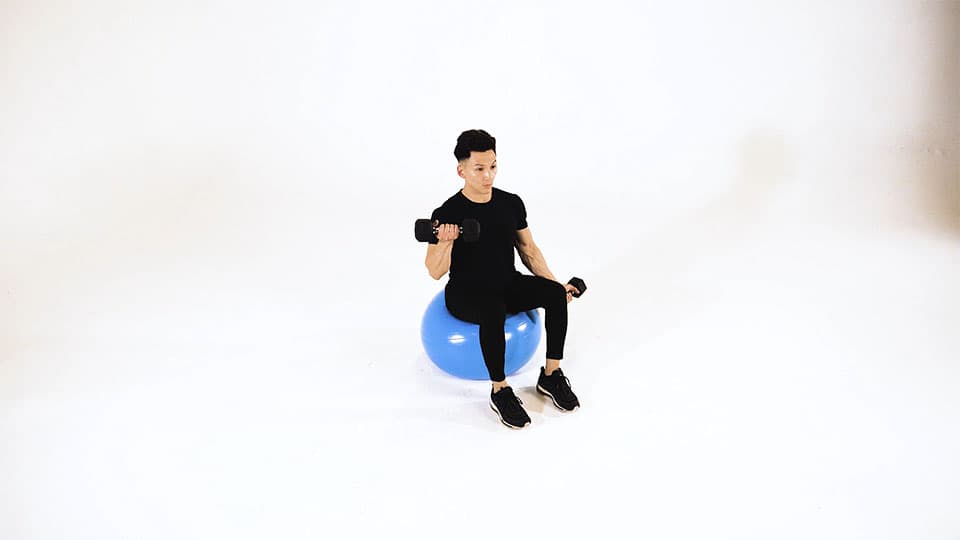 Dumbbell Seated Alternating Bicep Curl (Stability Ball) view 2