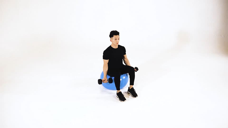 Dumbbell Seated Alternating Bicep Curl (Stability Ball) view 3