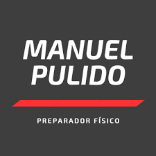 manuelpulidopf avatar