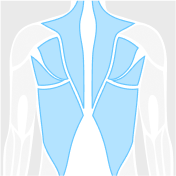 Back figure highlighted in blue