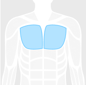 Chest figure highlighted in blue