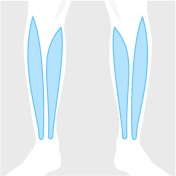 lower legs figure highlighted in blue