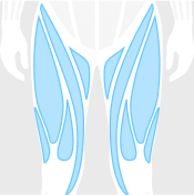 Upper Legs figure highlighted in blue