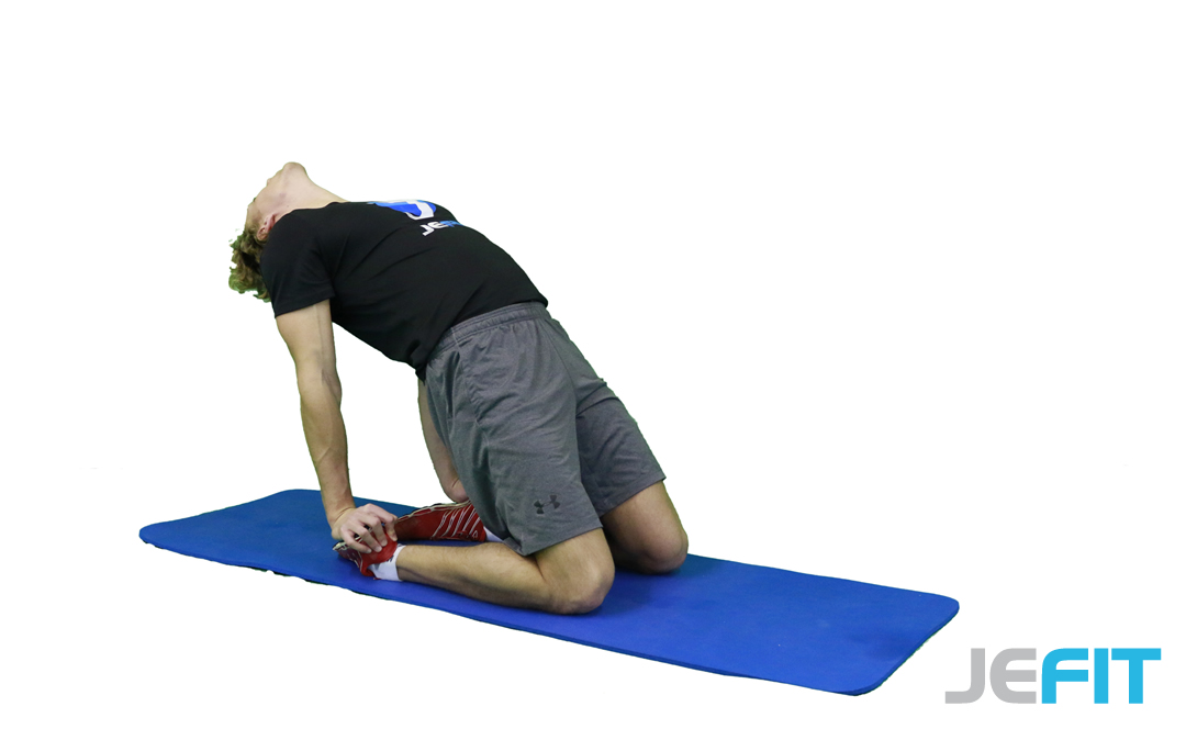 Kneeling Back Stretch | A Stretching Exercise