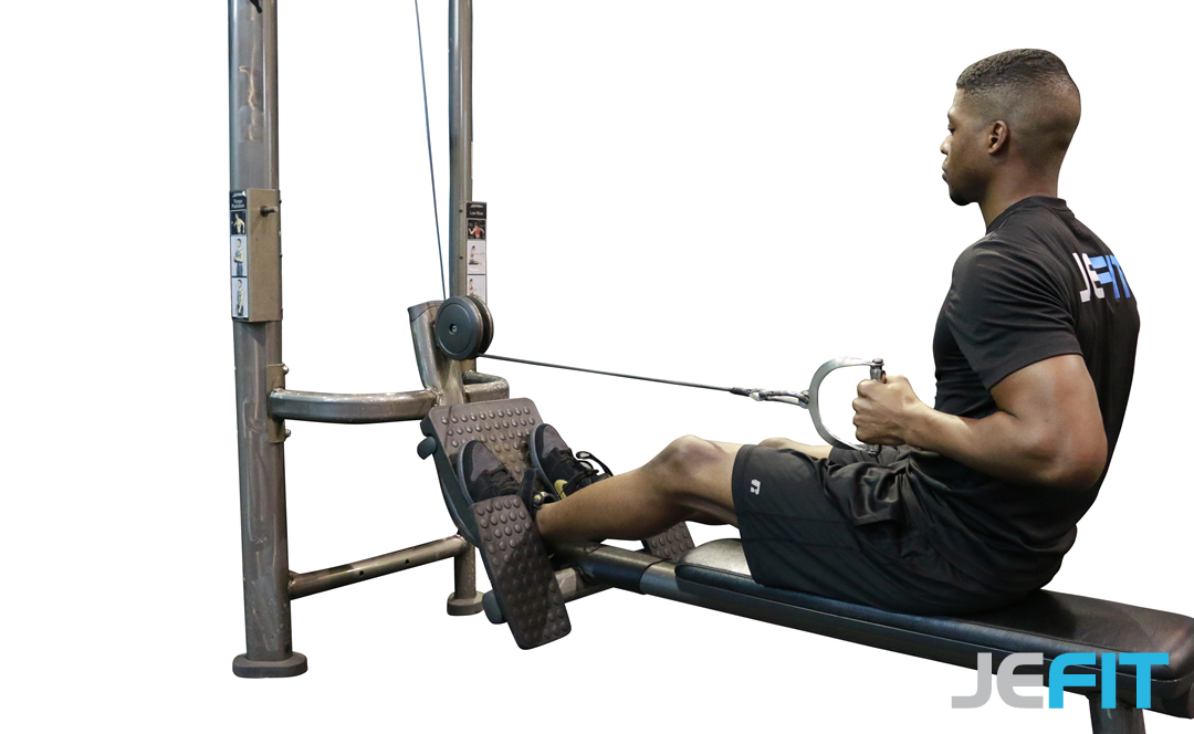 Cable One-Arm Seated Row | A Strength Exercise