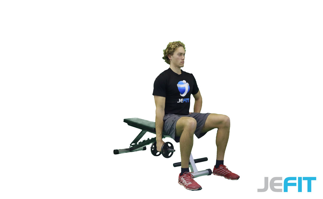 Dumbbell One-Arm Lateral Raise