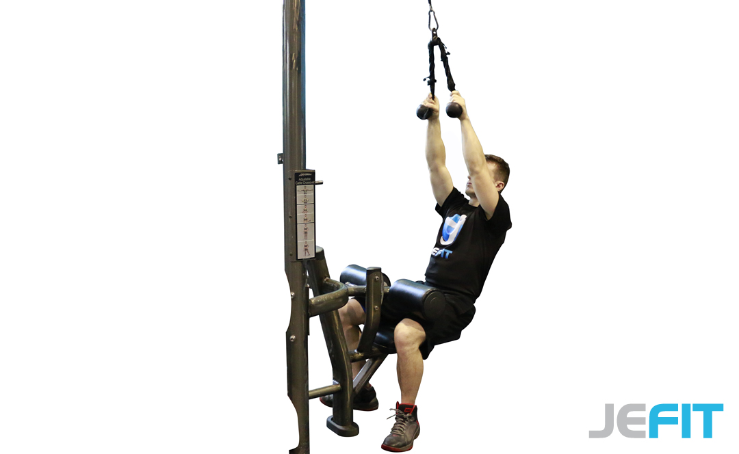 Pull Down Rope Grip BodBot atelieryuwa.ciao.jp