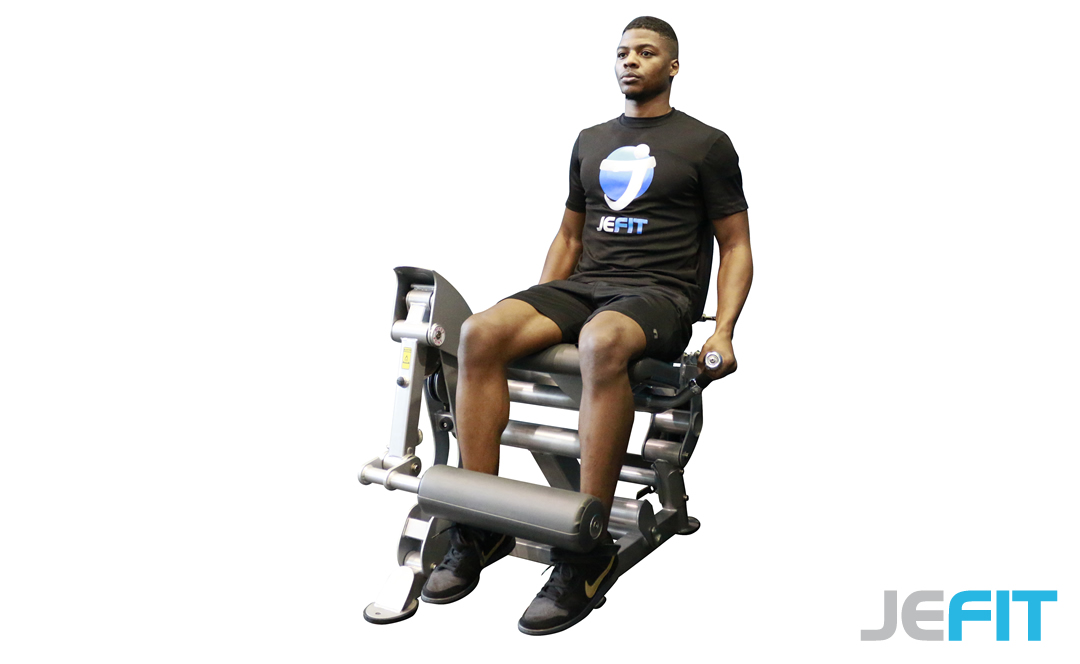 Leg Extension