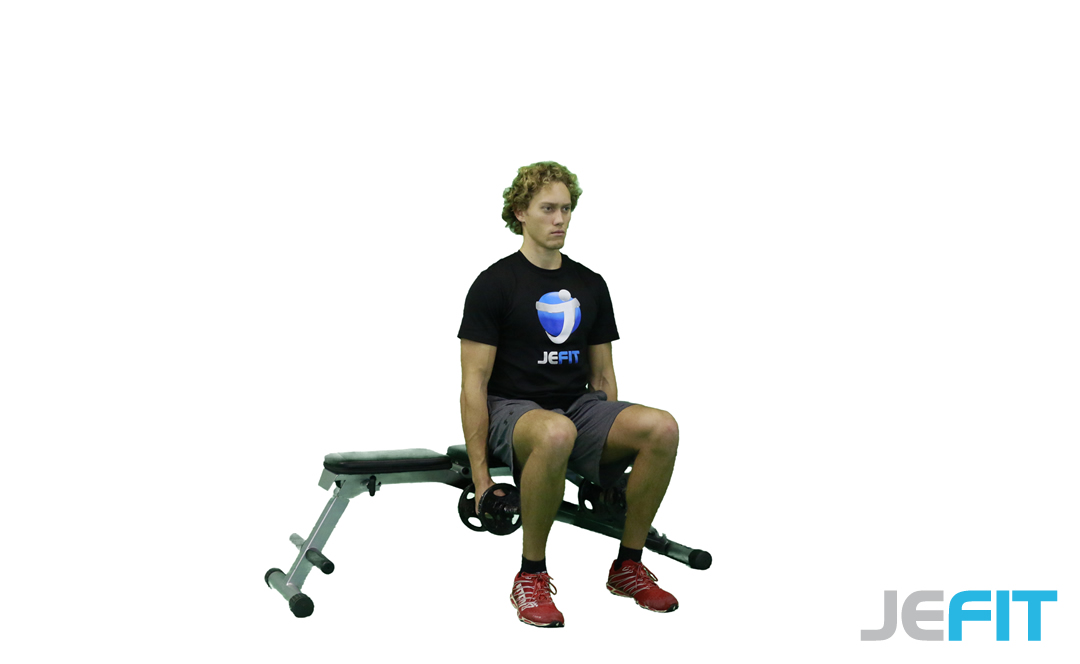 Dumbbell Seated Side Lateral Raise | A Strength Exercise - Jefit