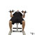 Dumbbell Bench Press exercise demonstration