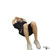 Crunch with Hands Overhead