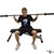 Barbell Seated Good Morning