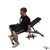 Seated Dumbbell Inner Biceps Curl exercise demonstration