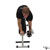 Dumbbell Rear Delt Row exercise demonstration