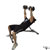 Dumbbell Incline Shoulder Raise exercise demonstration