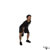 Kettlebell One Arm Swing exercise demonstration