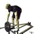 T Bar Prone Row exercise demonstration