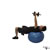 Dumbbell One Arm French Press on Exercise Ball exercise demonstration