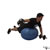 Dumbbell Alternating Posterior Fly (Stability Ball) exercise demonstration