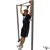 Hanging Knee Raise exercise demonstration