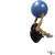 Stability Ball Roll Down exercise demonstration