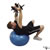 Stability Ball Tricep Extension exercise demonstration