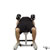 Palms In Dumbbell Bench Press