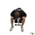 Dumbbell Seated Bent Over Reverse Fly exercise demonstration