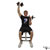 Dumbbell Seated Alternating Arnold Press exercise demonstration