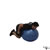 Stability Ball Dumbbell Kickback exercise demonstration