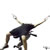 Cable Flat Bench Fly
