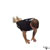 Close Triceps Pushup