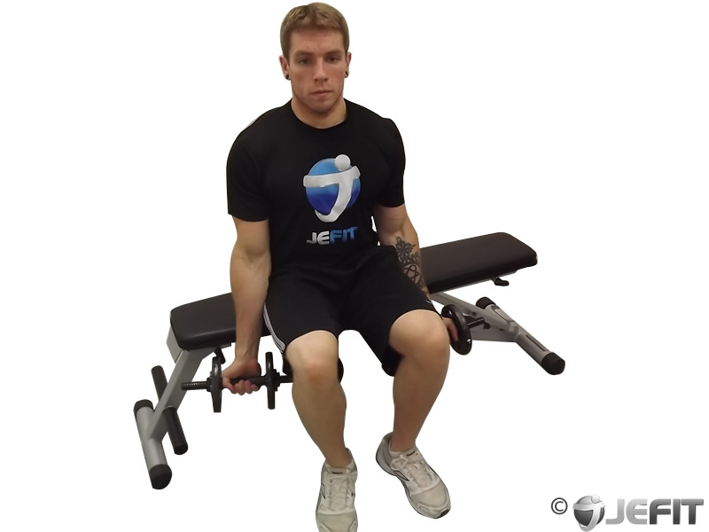 Dumbbell Seated Bicep Curl Exercise Database Jefit Best
