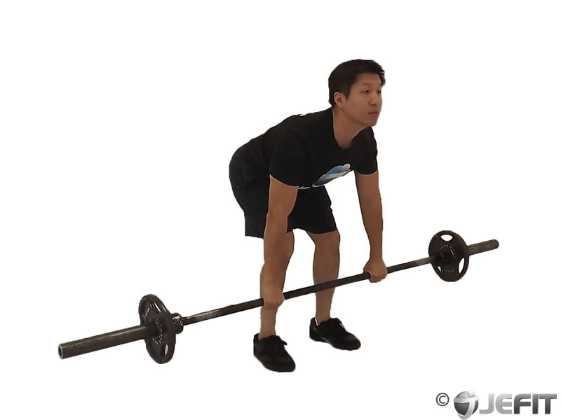 Bent Over Rows Dumbbell Bench - alvalewis