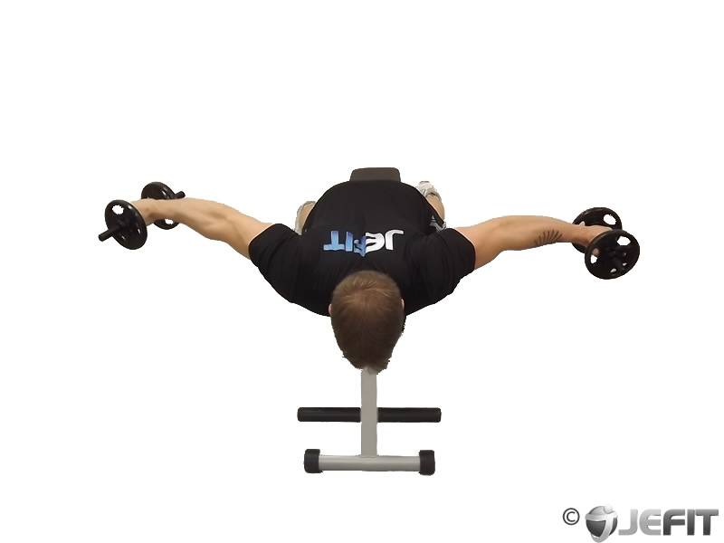 Dumbbell Lying Rear Lateral Raise Exercise Database Jefit